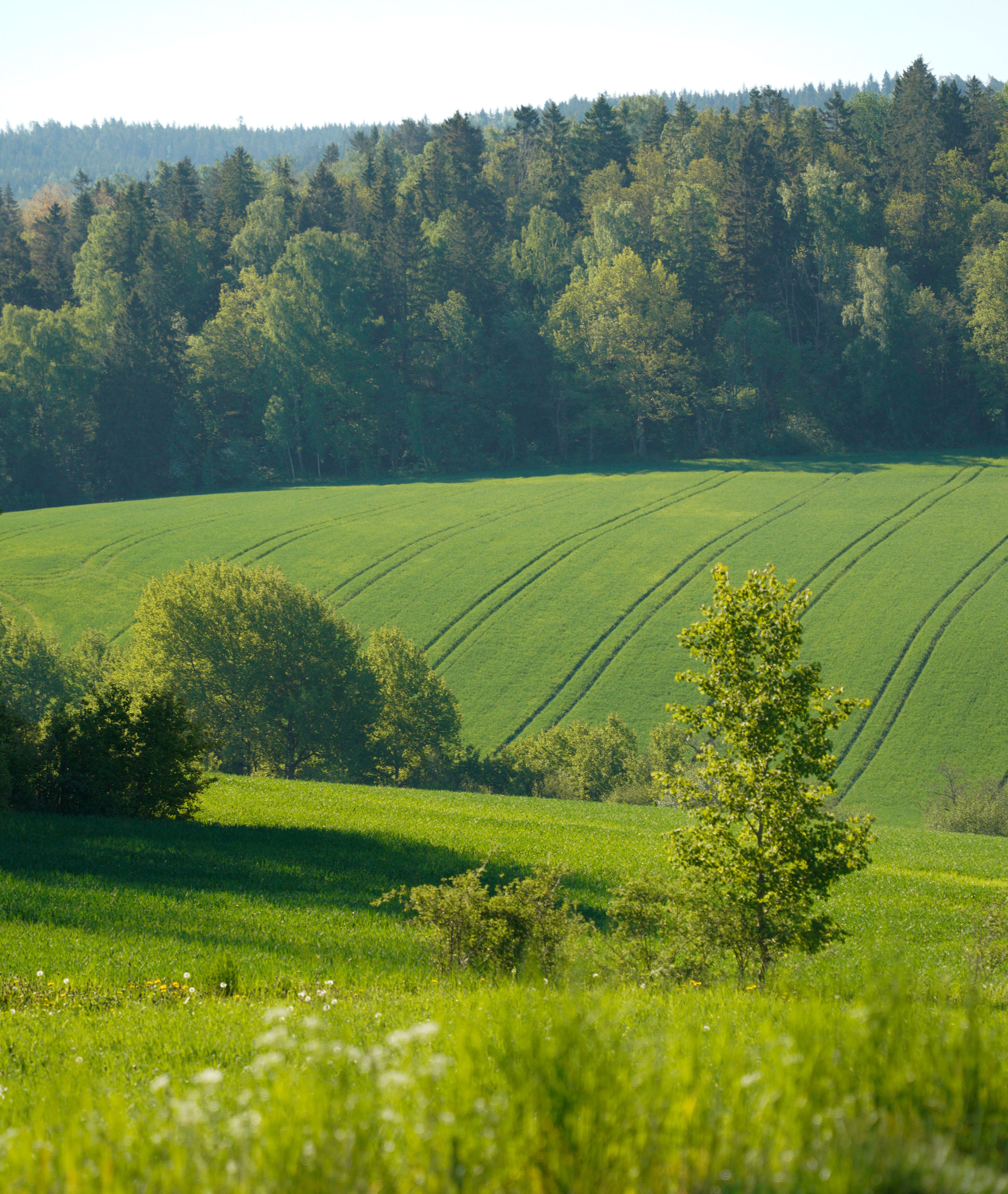 naturbild