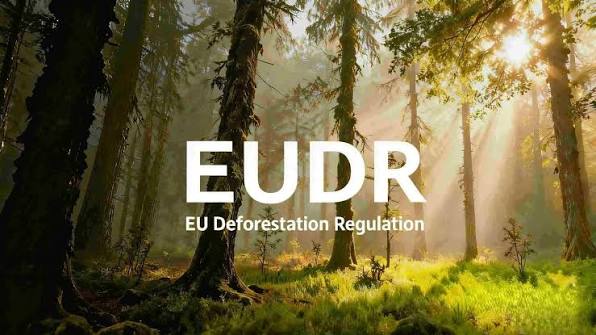Ampiro erbjuder EUDR konsult